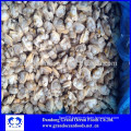 Frozen Ruditapes Philippinarum clam meat